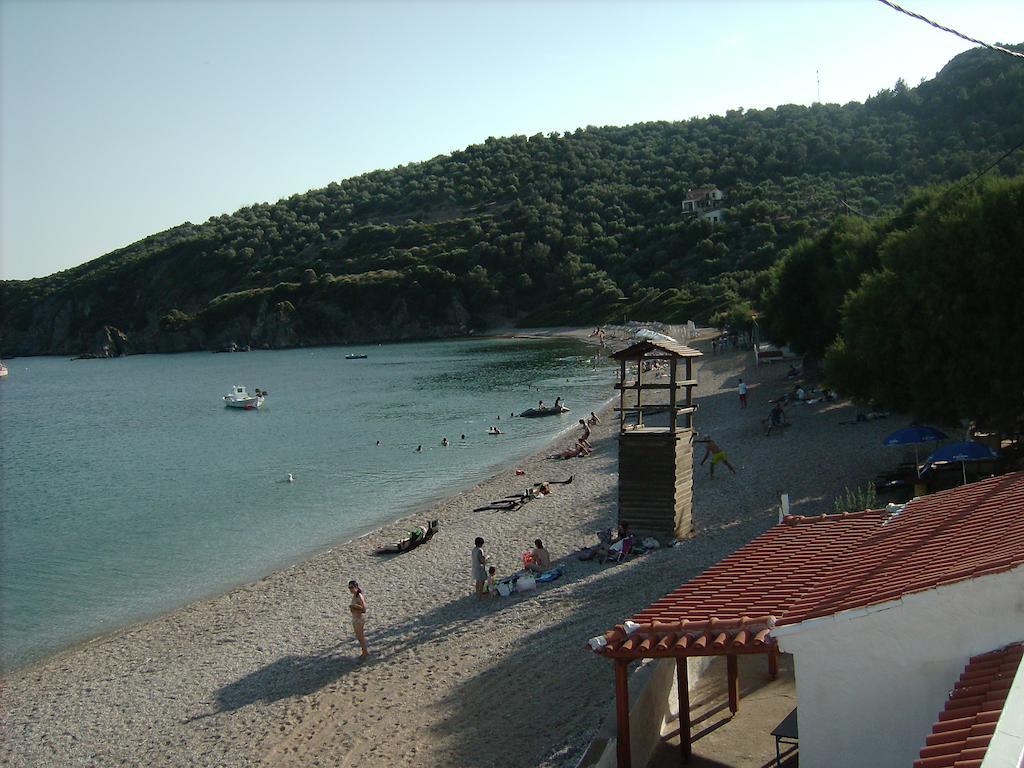 Elena Studios