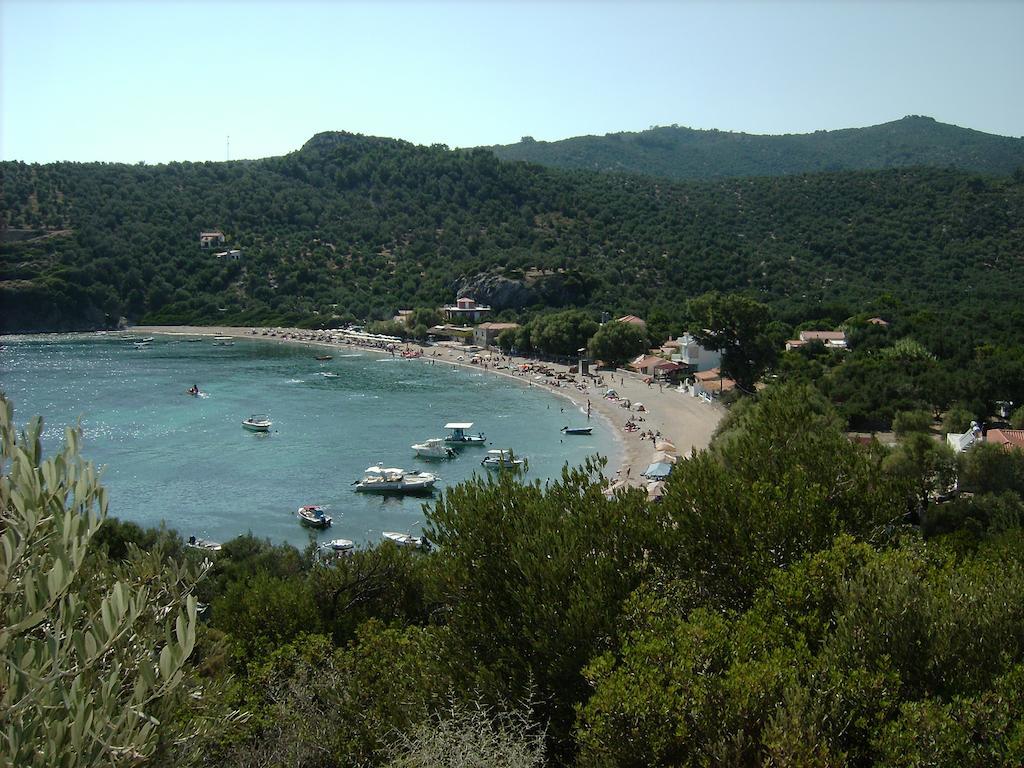 Elena Studios