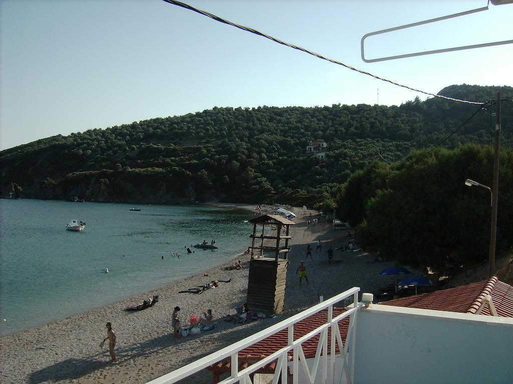 Elena Studios Tarti