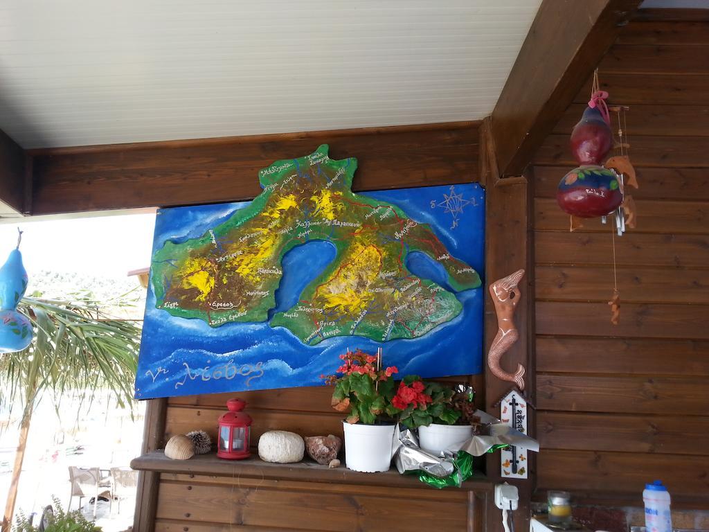 Elena Studios Tarti